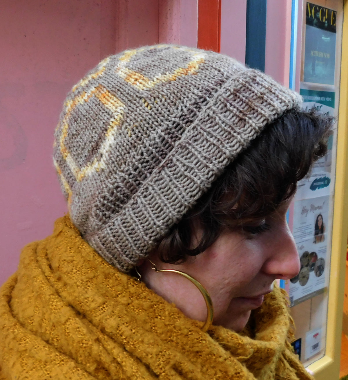 Carapace Hat  Knitting Pattern  Digital Download