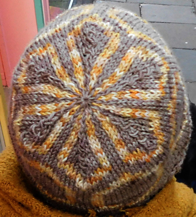 Carapace Hat  Knitting Pattern  Digital Download