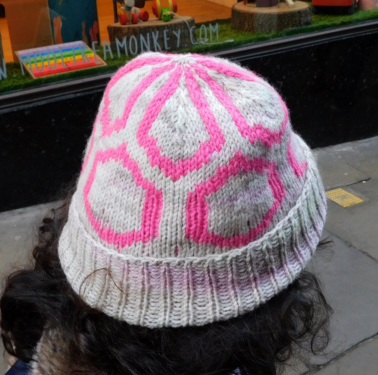 Carapace Hat  Knitting Pattern  Digital Download